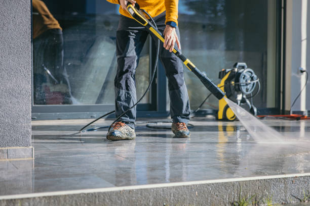 Best Roof Cleaning and Mildew Removal in Fort Stewart, GA